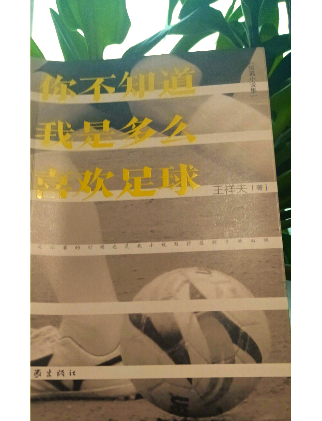 精彩纷呈的足球表现引人入胜！