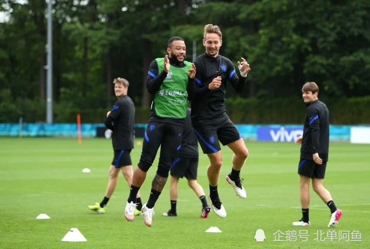 爱游戏在线登录-荷兰战胜乌克兰，小组领跑优势扩大