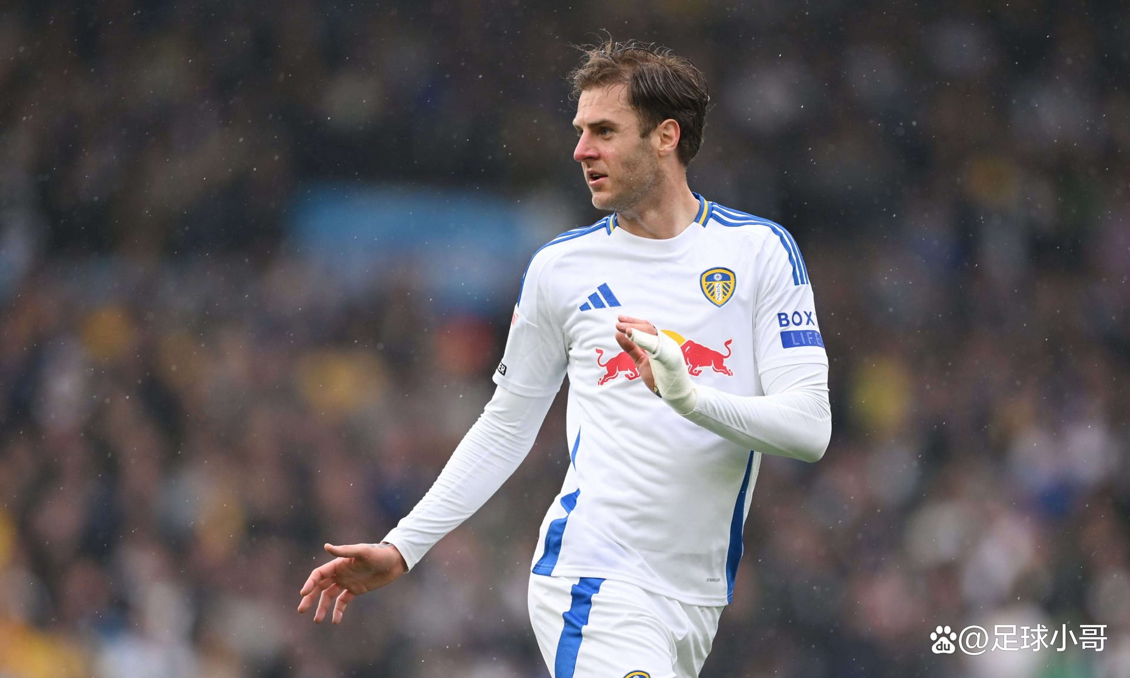 包含利兹联胜利，暂时脱离保级区的词条