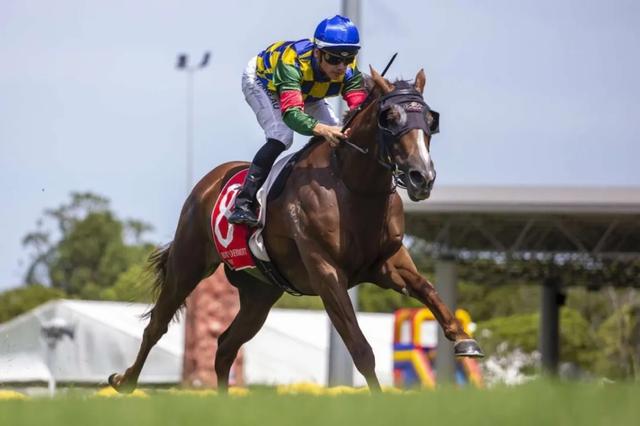 爱游戏网页版-澳大利亚奥运新秀夺得马术赛场冠军